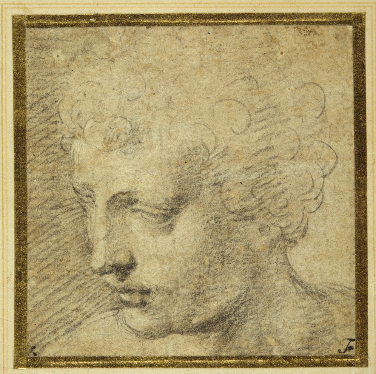 Huvudet på en pojke, nästan i profil till vänster (svart krita på tonat papper) av Parmigianino