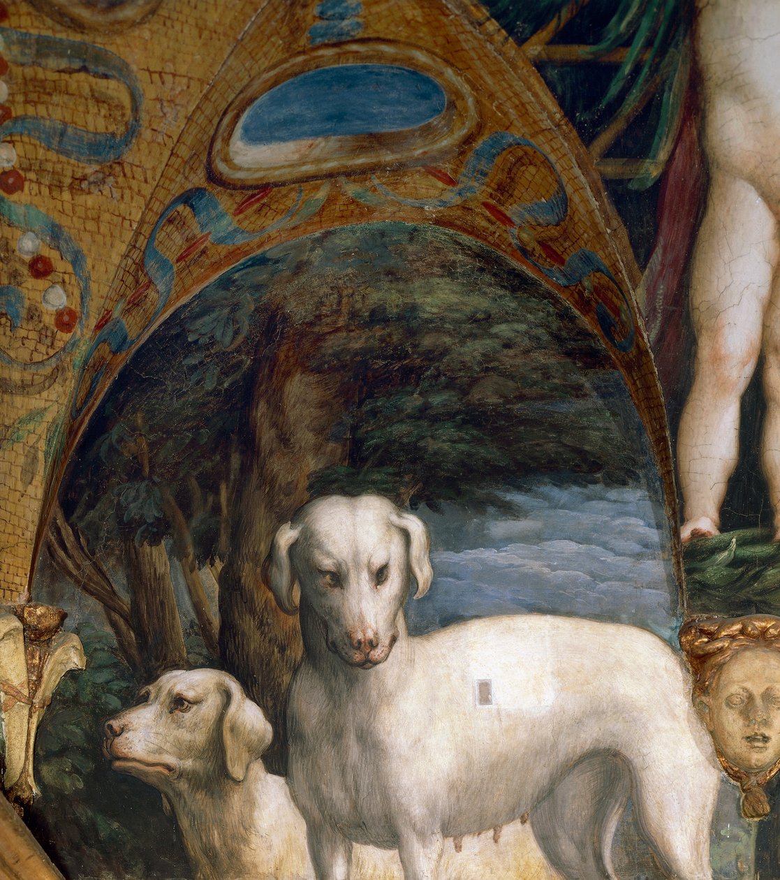 Ett par hundar, detalj från Myth of Diana and Actaeon, av Francesco Mazzola känd som Parmigianino (1503-1540), fresk, norra sidan av Room of Diana and Actaeon, Rocca Sanvitale, Fontanellato, nära Parma, Italien, cirka 1524 av Parmigianino