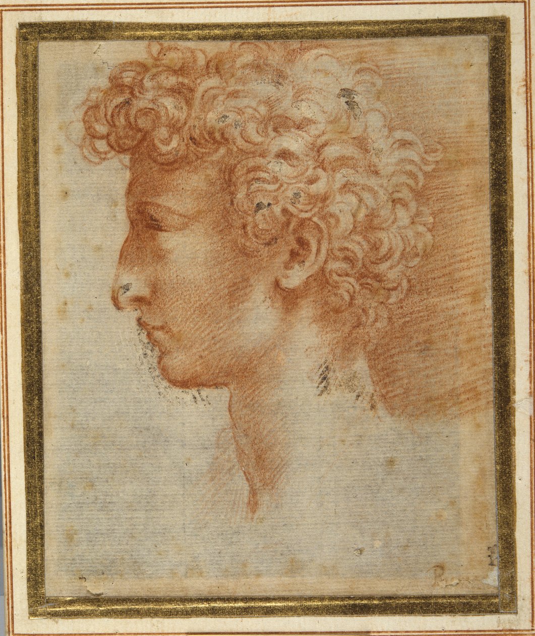 Profil av en ung man (röd krita på vitt papper) av Parmigianino