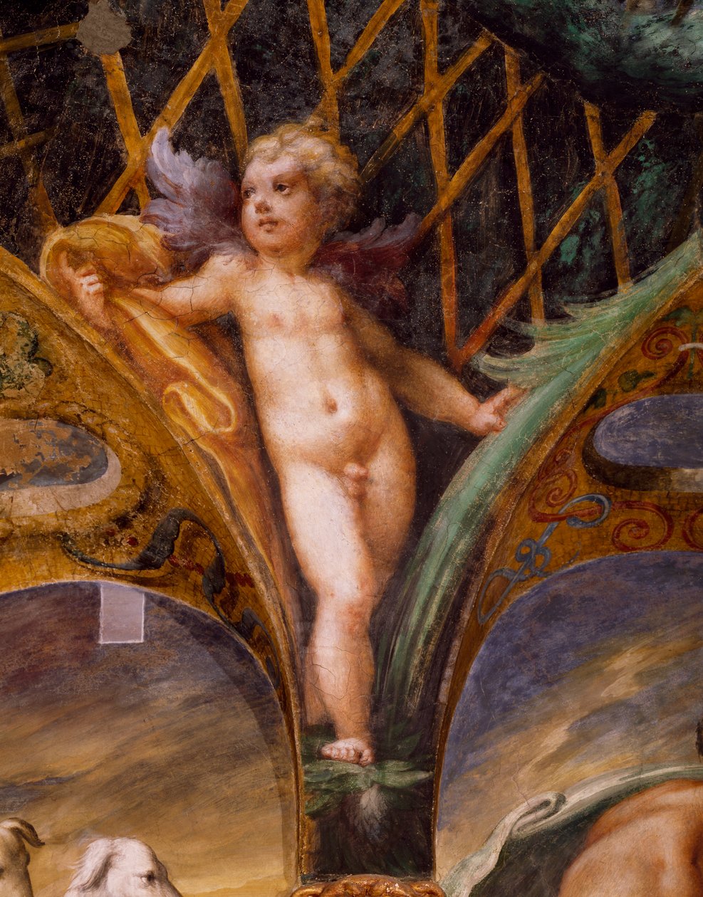 Putto, från Myth of Diana and Actaeon av Parmigianino