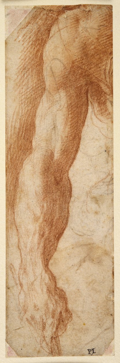 Studie av en mans högra arm, hans hand som håller en pinne (röd krita på vitt papper) av Parmigianino