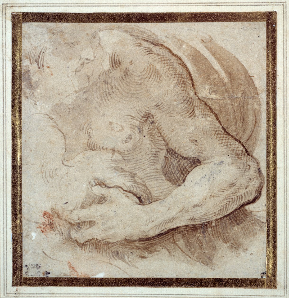 Studie av vänster arm, bröst och huvud på en skäggig man (penna & brunt bläck med röd krita på krämpapper) av Parmigianino