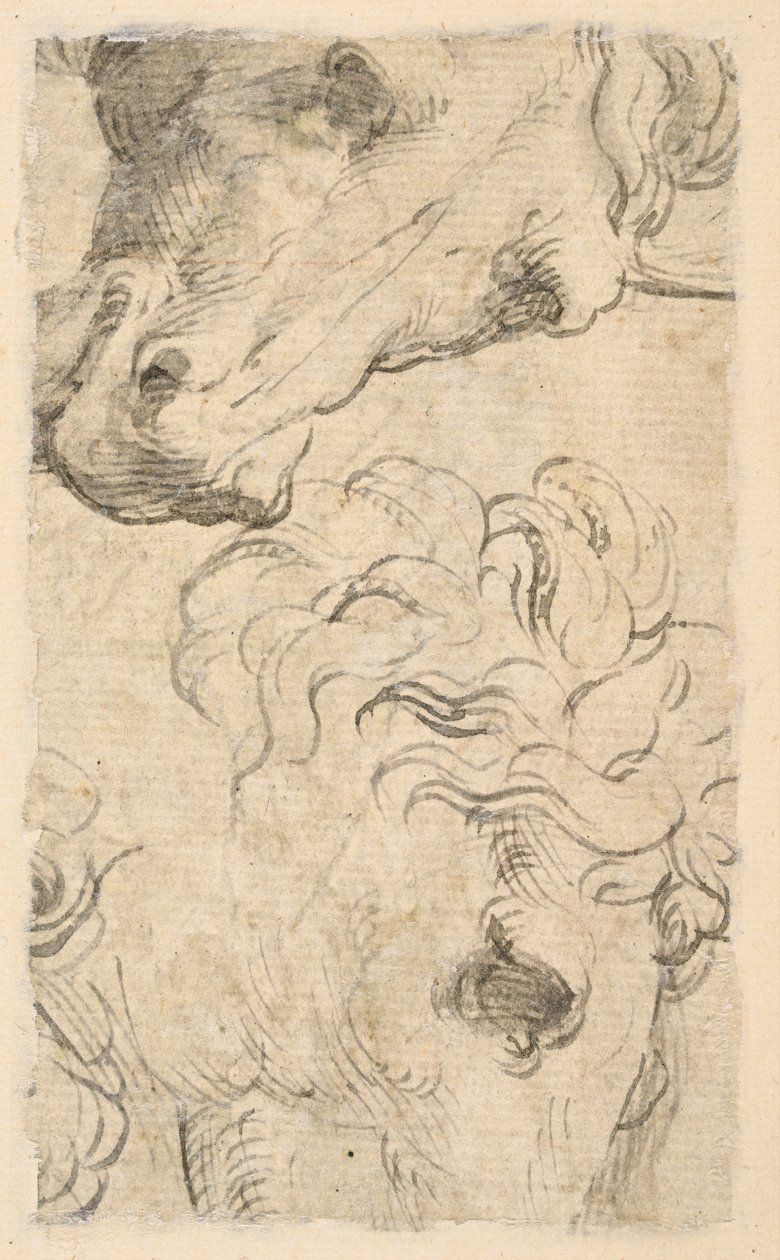 Två studier av hästhuvuden (fragment) (verso) av Parmigianino