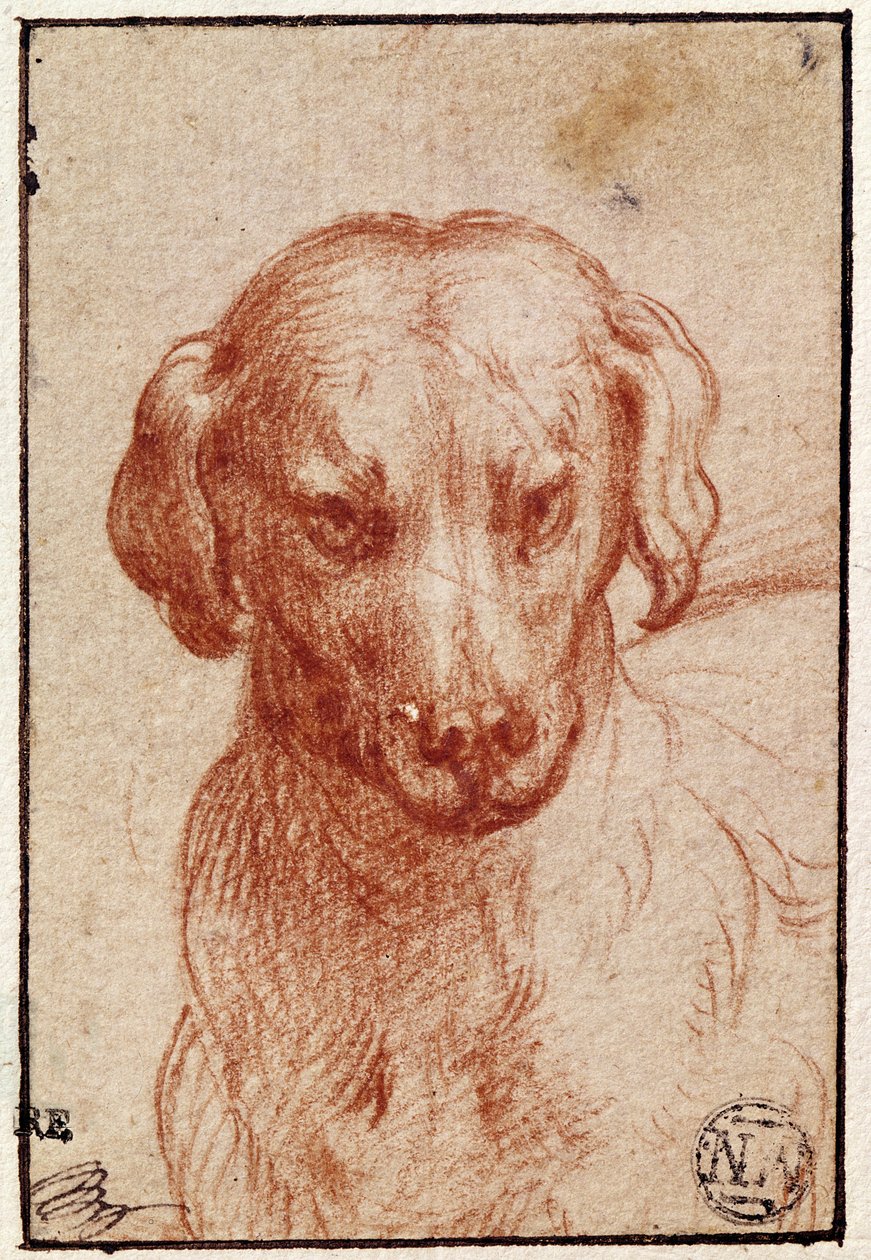 Head of a Dog (röd krita på papper) av Parmigianino