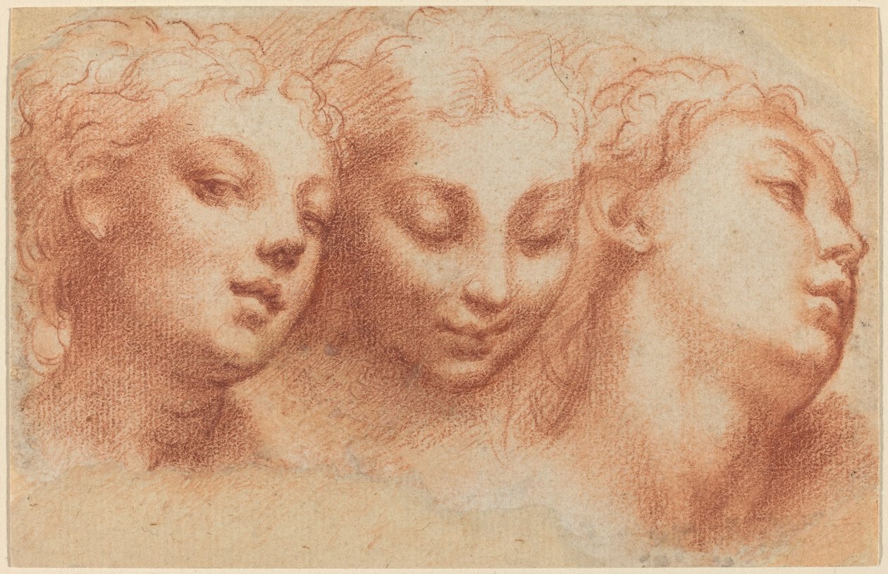 swedish av Parmigianino