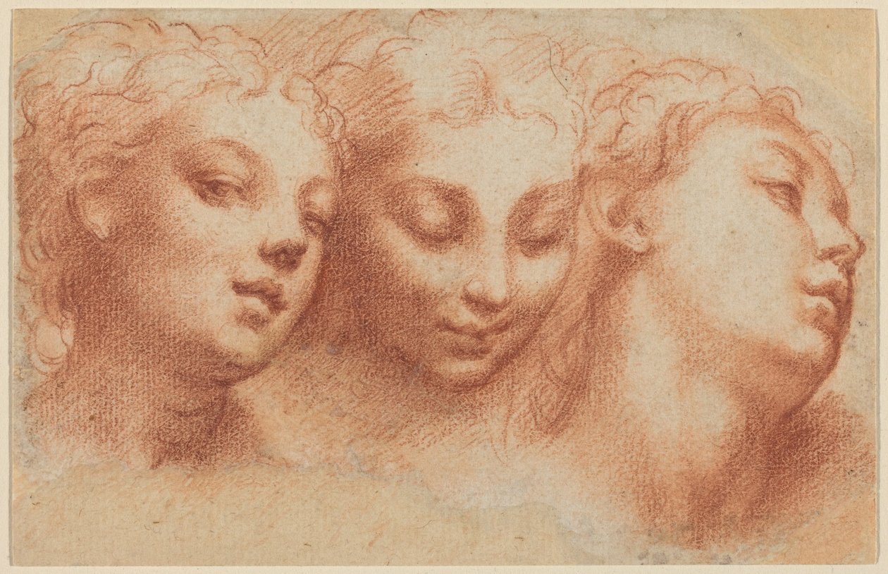 Tre kvinnohuvuden av Parmigianino