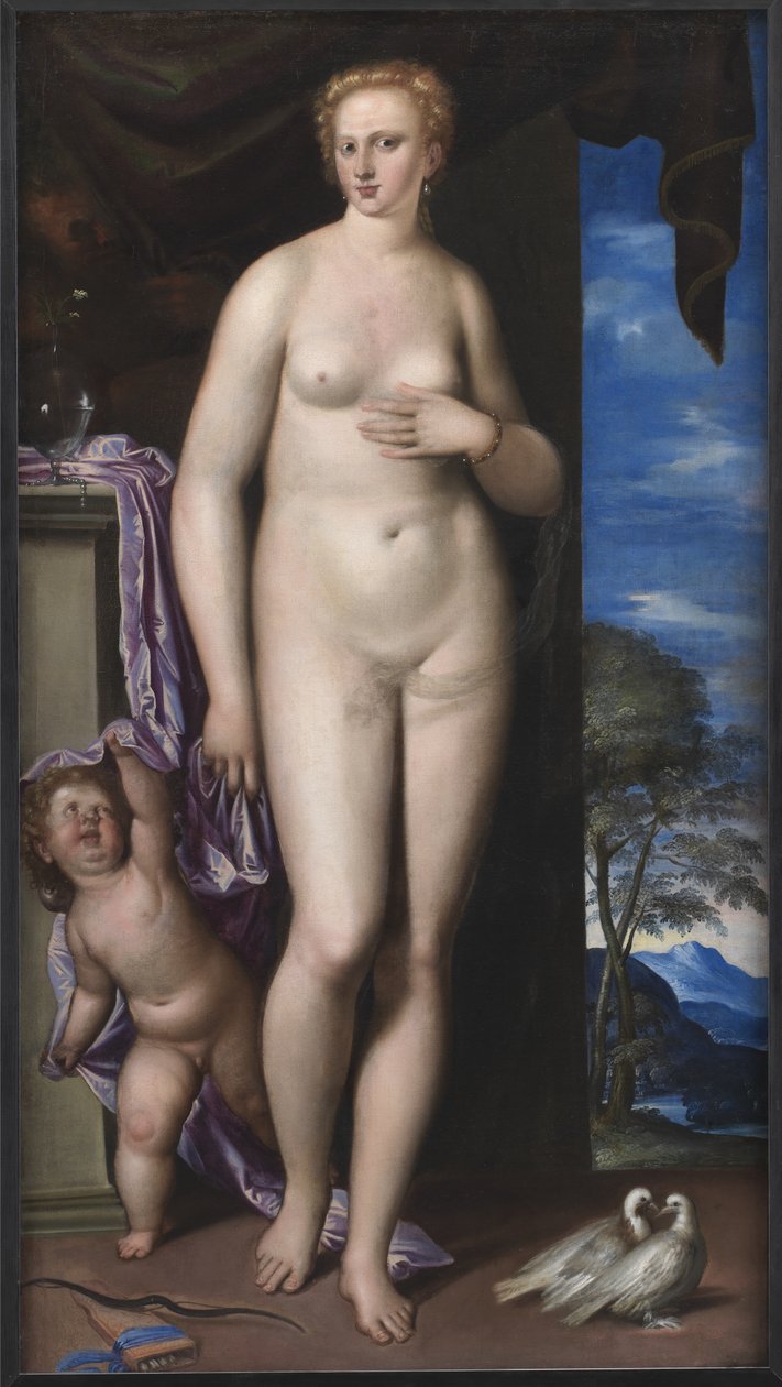 Venus och Amor av Parrasio Micheli