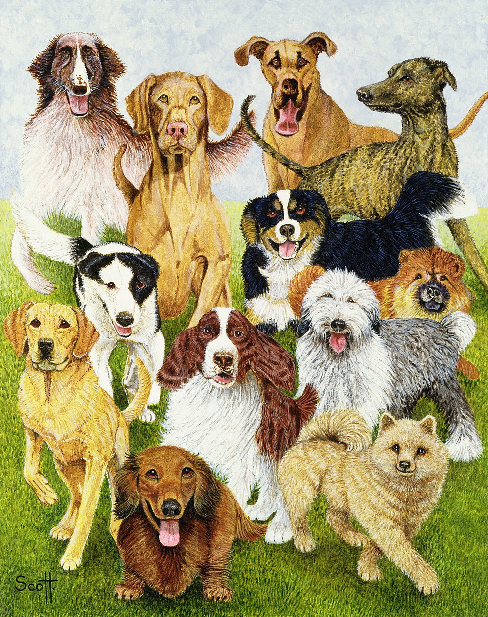Dog Days (olja på duk) av Pat Scott