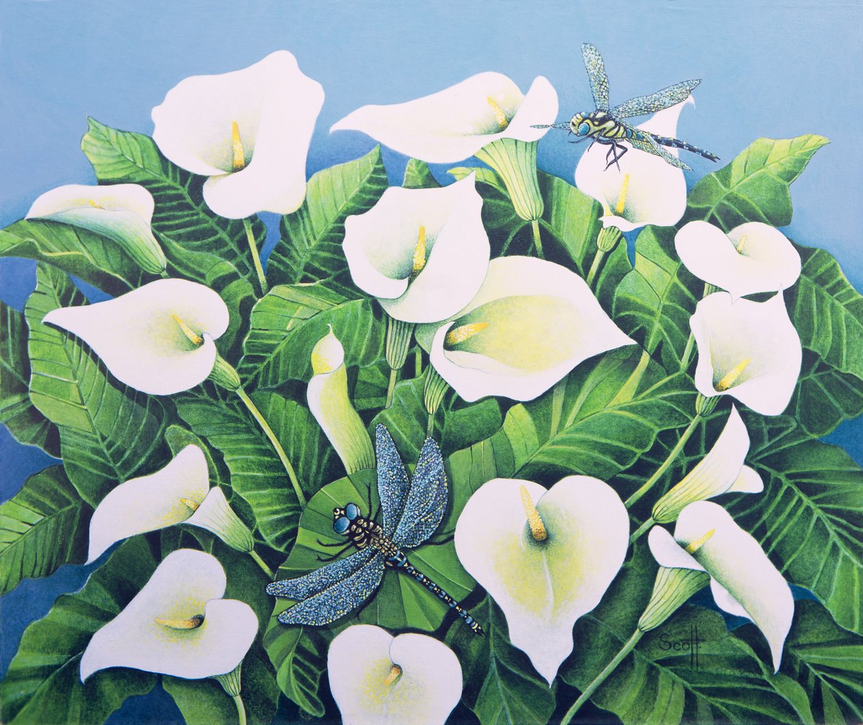Dragon Flies (olja på duk) av Pat Scott