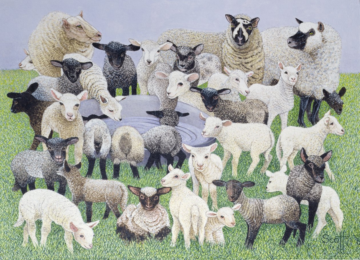 Feeling Sheepish (olja på duk) av Pat Scott
