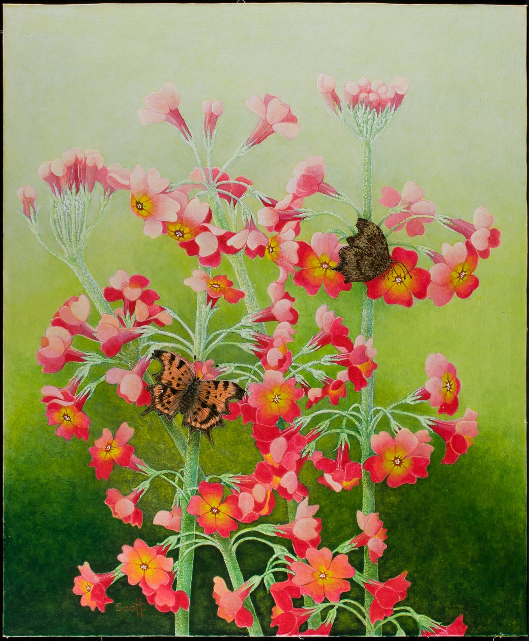 In the Pink, 2011 (akryl på calico) av Pat Scott