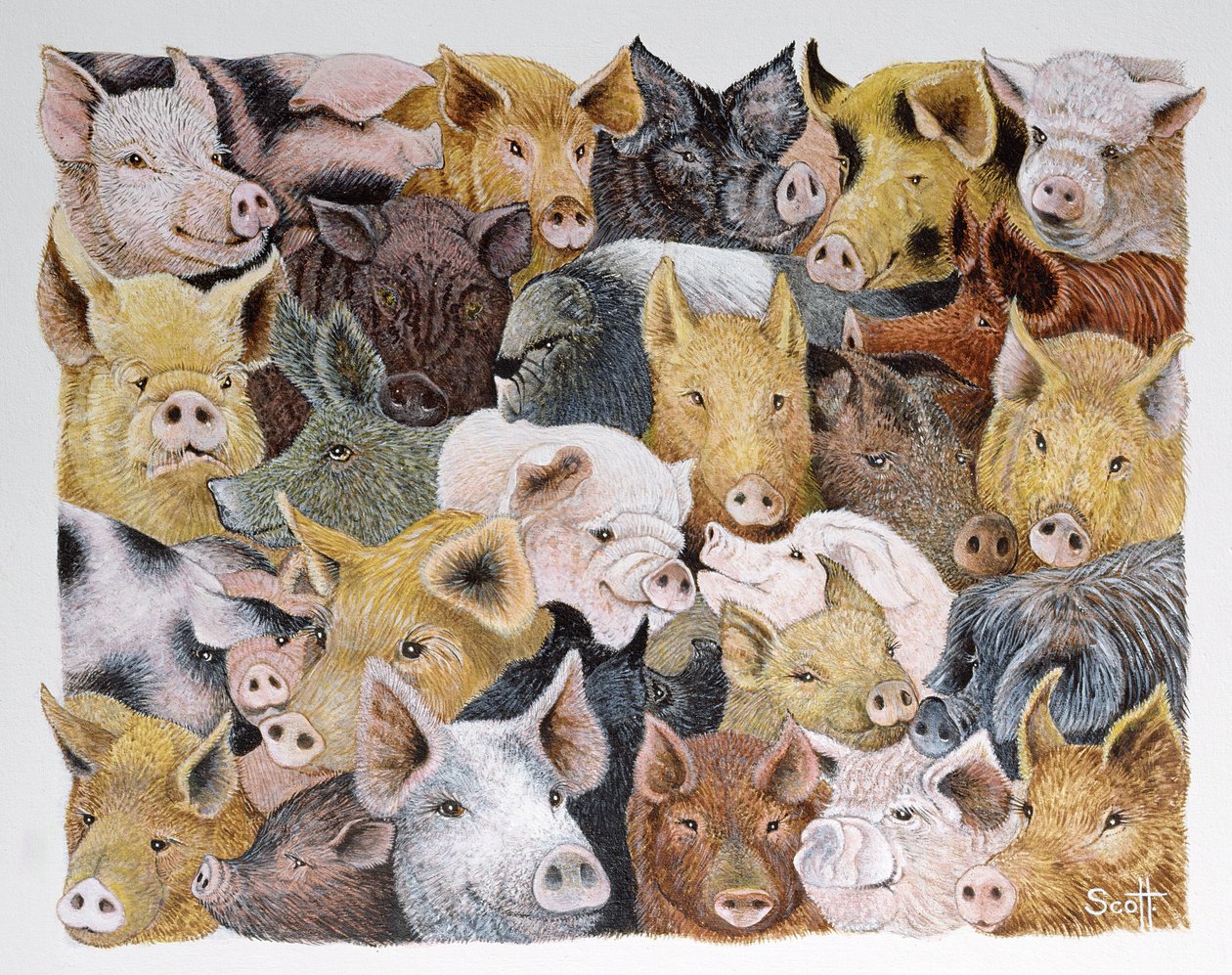Pigs Galore (akryl på calico) av Pat Scott