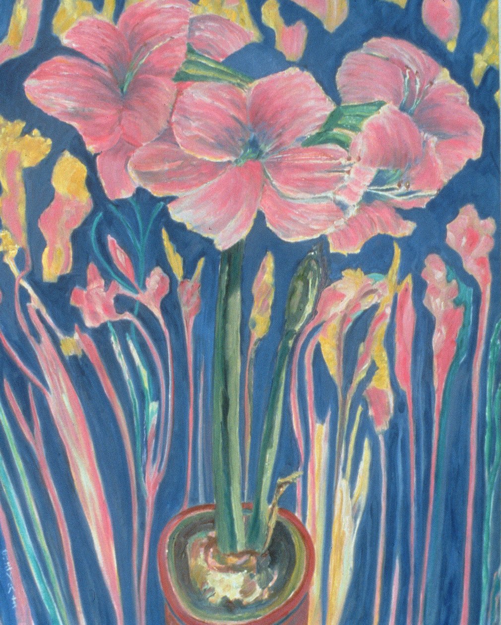Amarylis (olja på linne) av Patricia Contemporary Artist Eyre