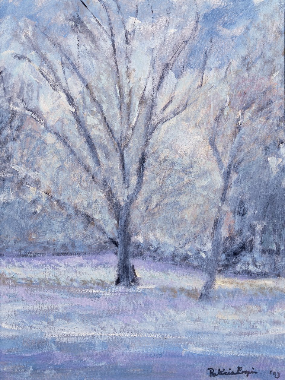 Snö scen av Patricia Espir