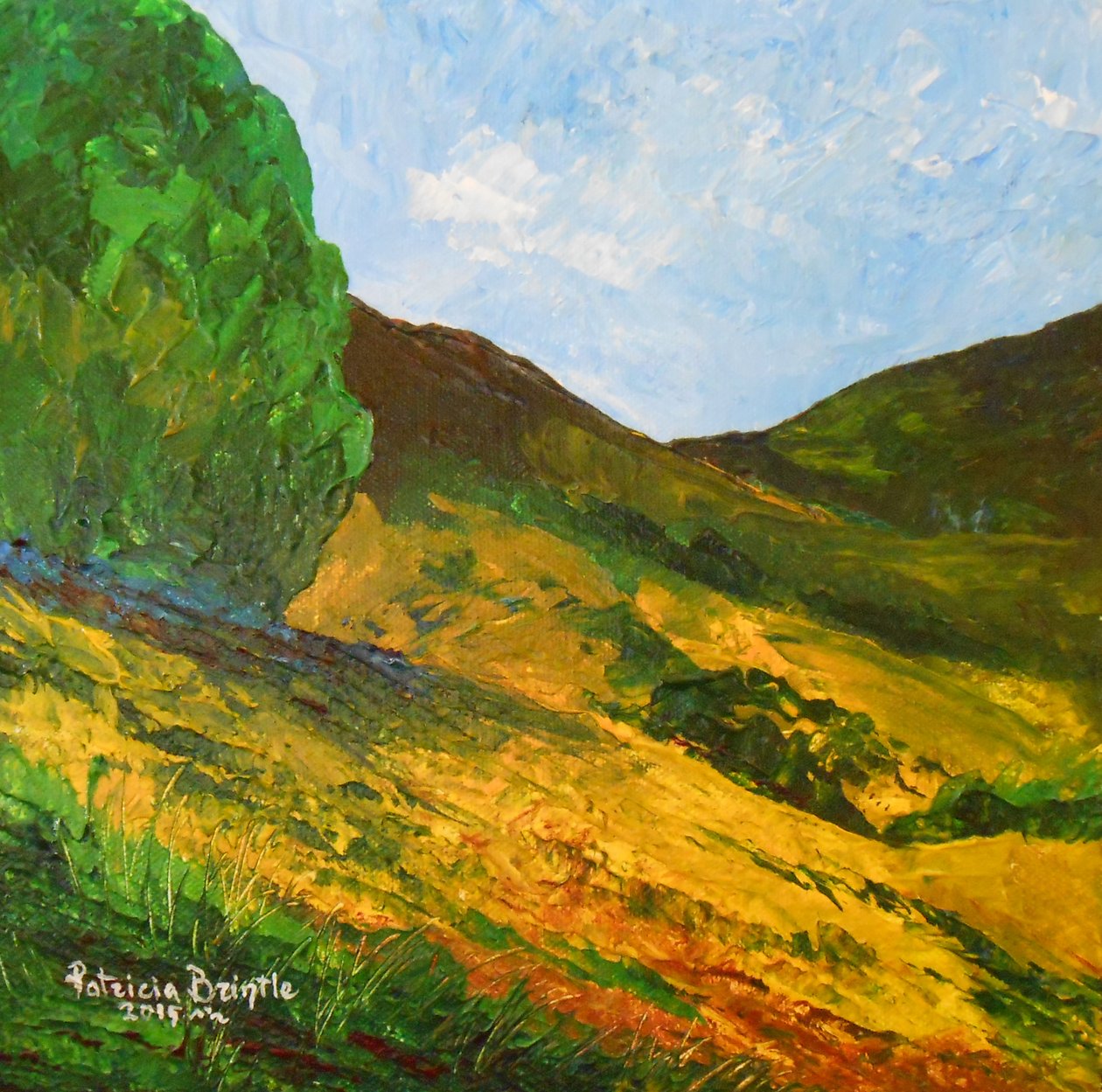 Morne La Selle, 2015 (akryl på duk) av Patricia Brintle