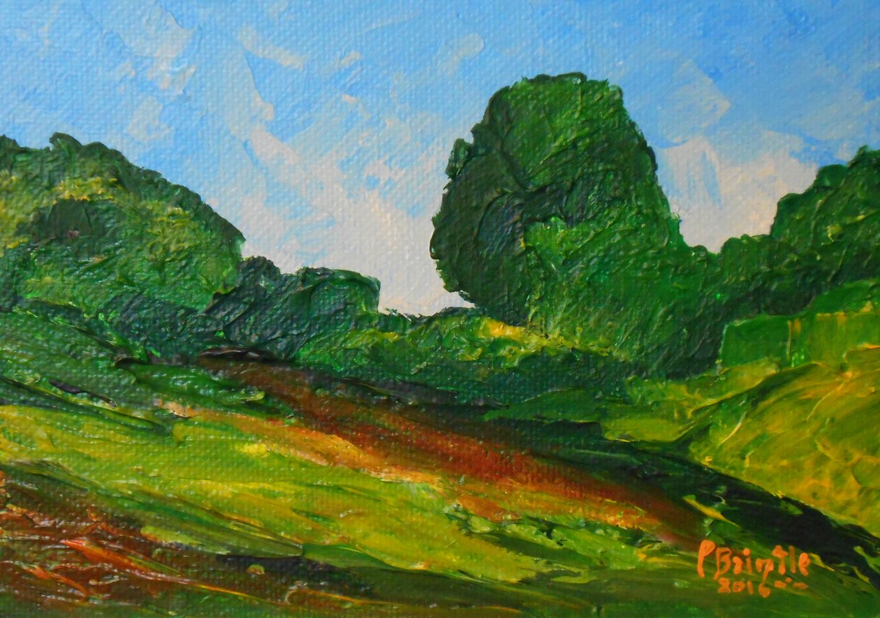 Plaisance surround, 2016 (akryl på artistboard) av Patricia Brintle