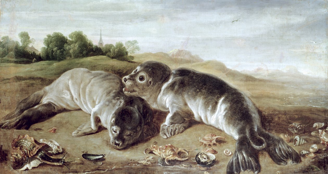 Två unga sälar på stranden, ca 1650 av Paul De Vos