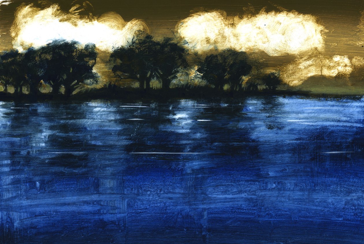 Flood, 2009 (akryl ombord) av Paul Powis