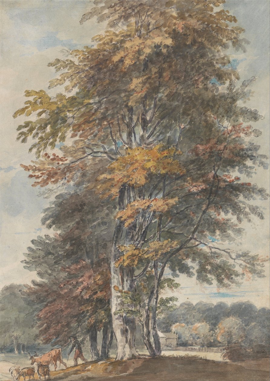 Landscape with beech trees and man driving cattle and sheep av Paul Sandby