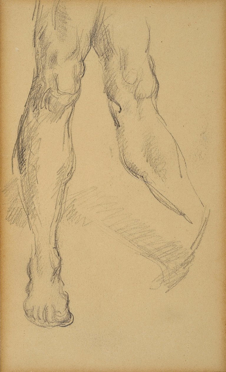 Benstudie. Teckning av Paul Cezanne (1839-1906). Bly på papper. Mått: 19,4x11,8cm. Musee Granet, Aix En Provence. av Paul Cézanne
