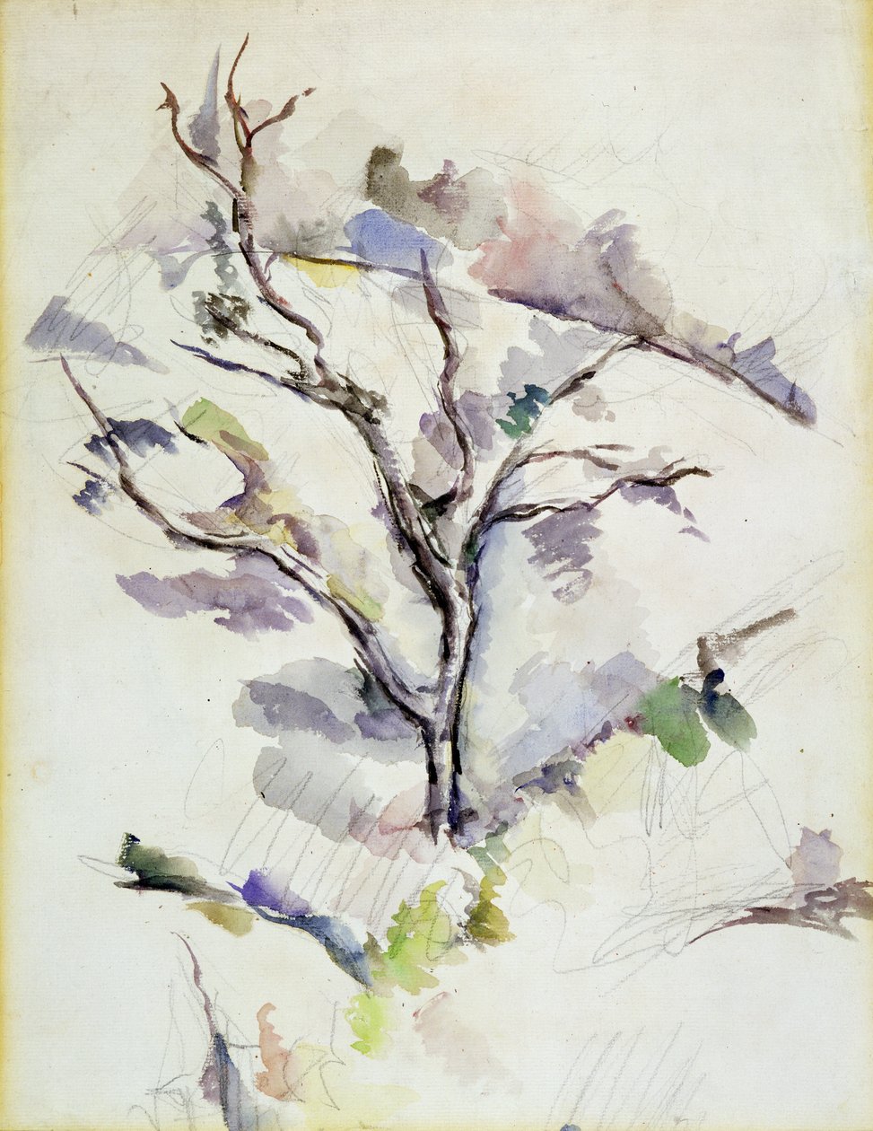 Eken av Paul Cézanne