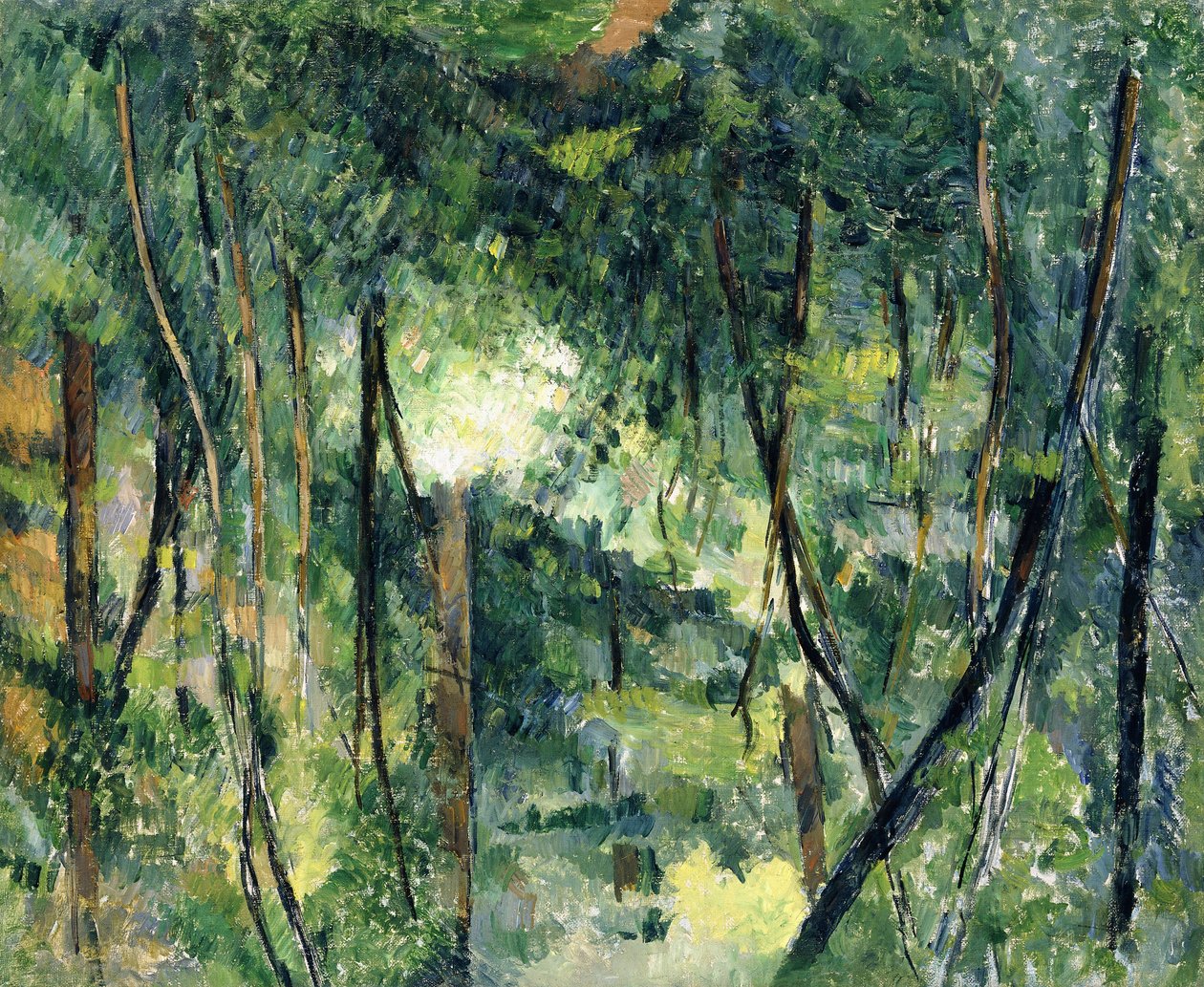 Undervegetation, c.1885 av Paul Cézanne