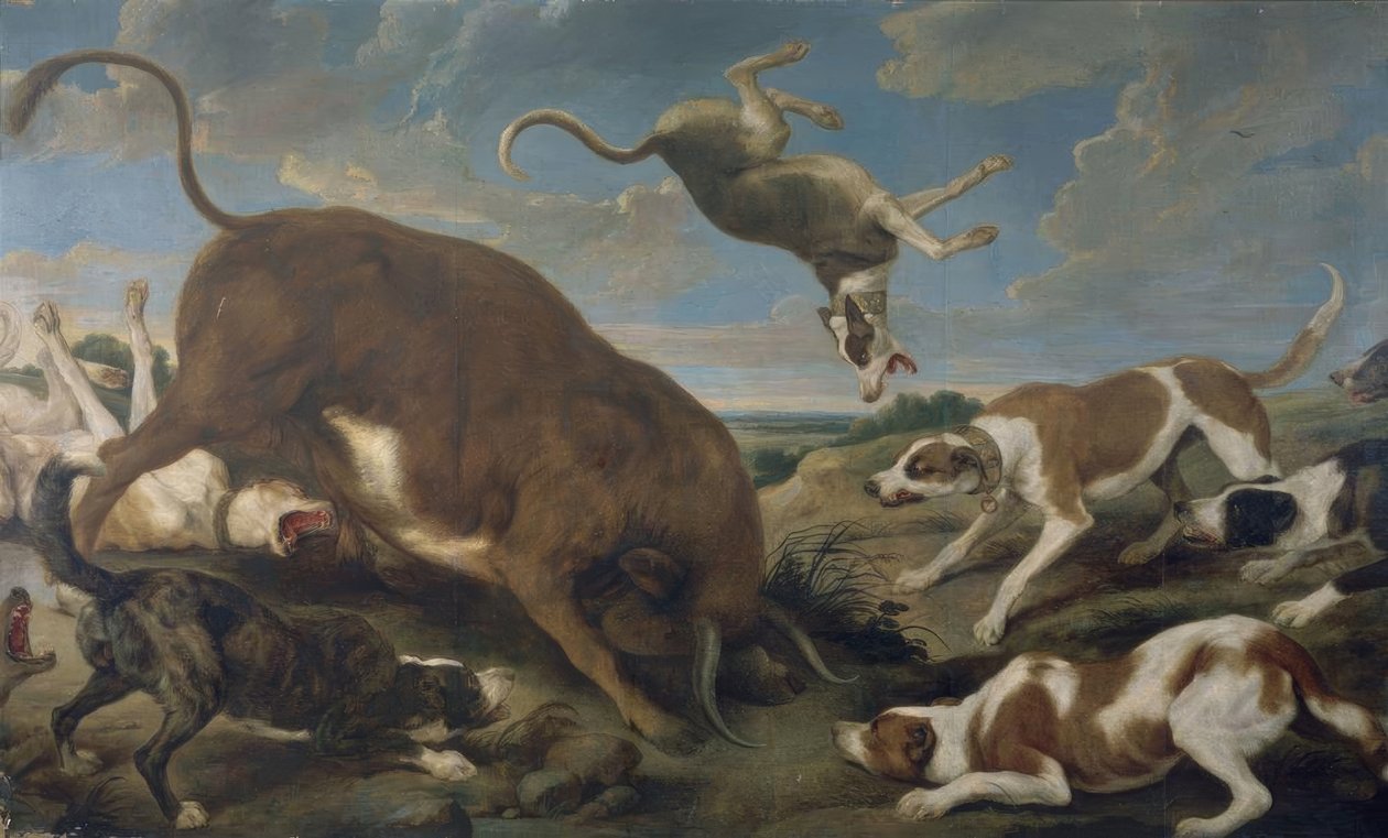 TJÄRA ATTACKAD AV HUNDAR - 1600-TALET - KANVAS 210 × 346 cm - BAROCK FLAMENCO av Paul De Vos