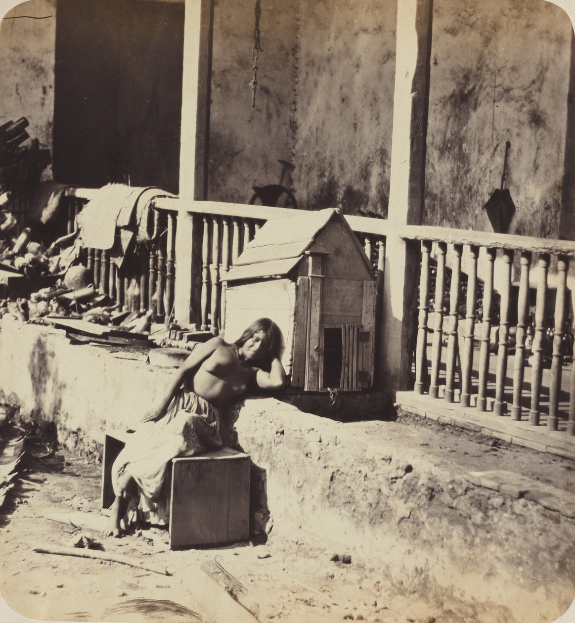 Garvel hund (Martinique),1870-talet (foto) av Paul Emile Miot