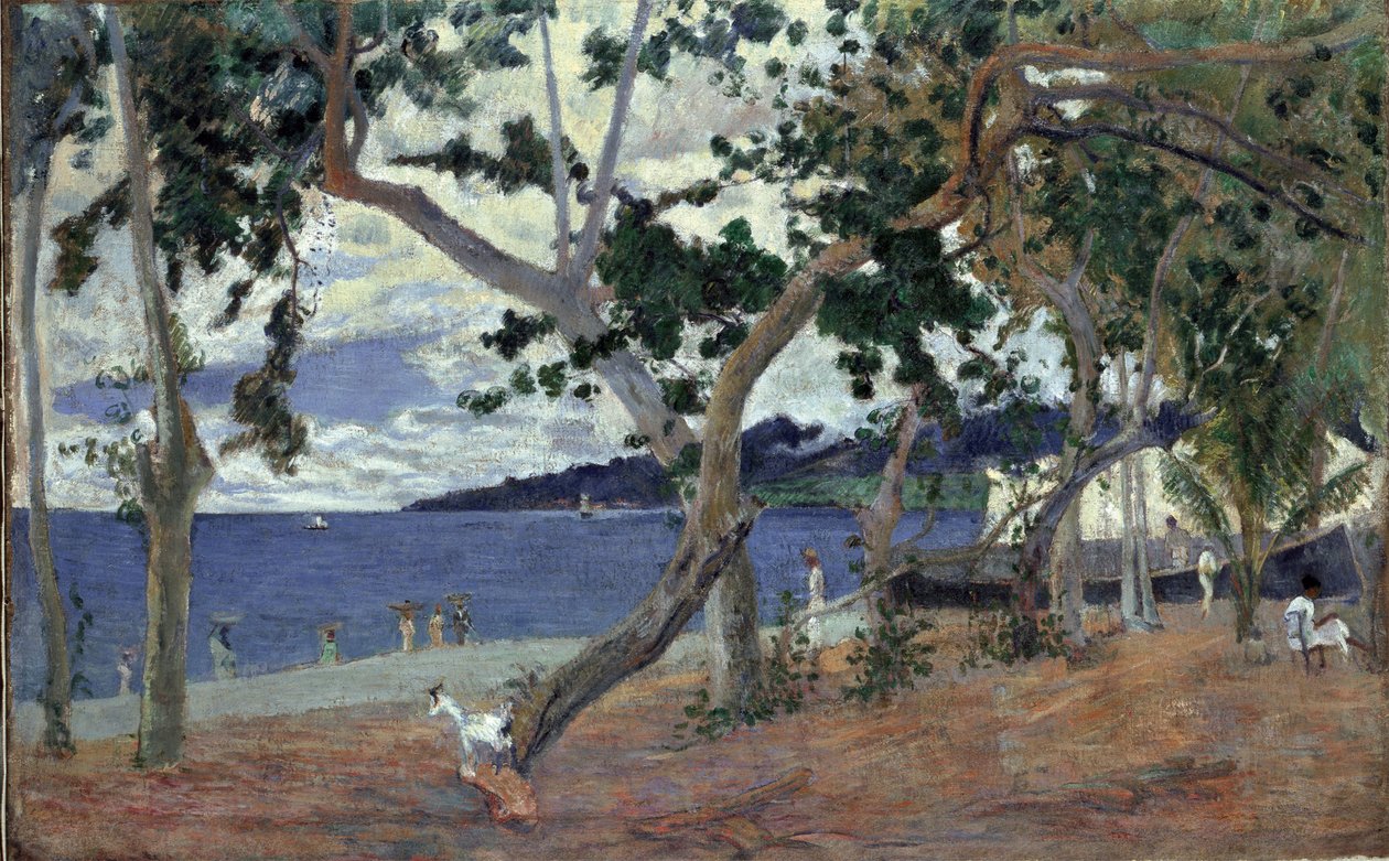 Vid havet, Martinique par Gauguin, Paul Eugene Henri (1848-1903). Olja på duk, storlek: 54x90 av Paul Gauguin
