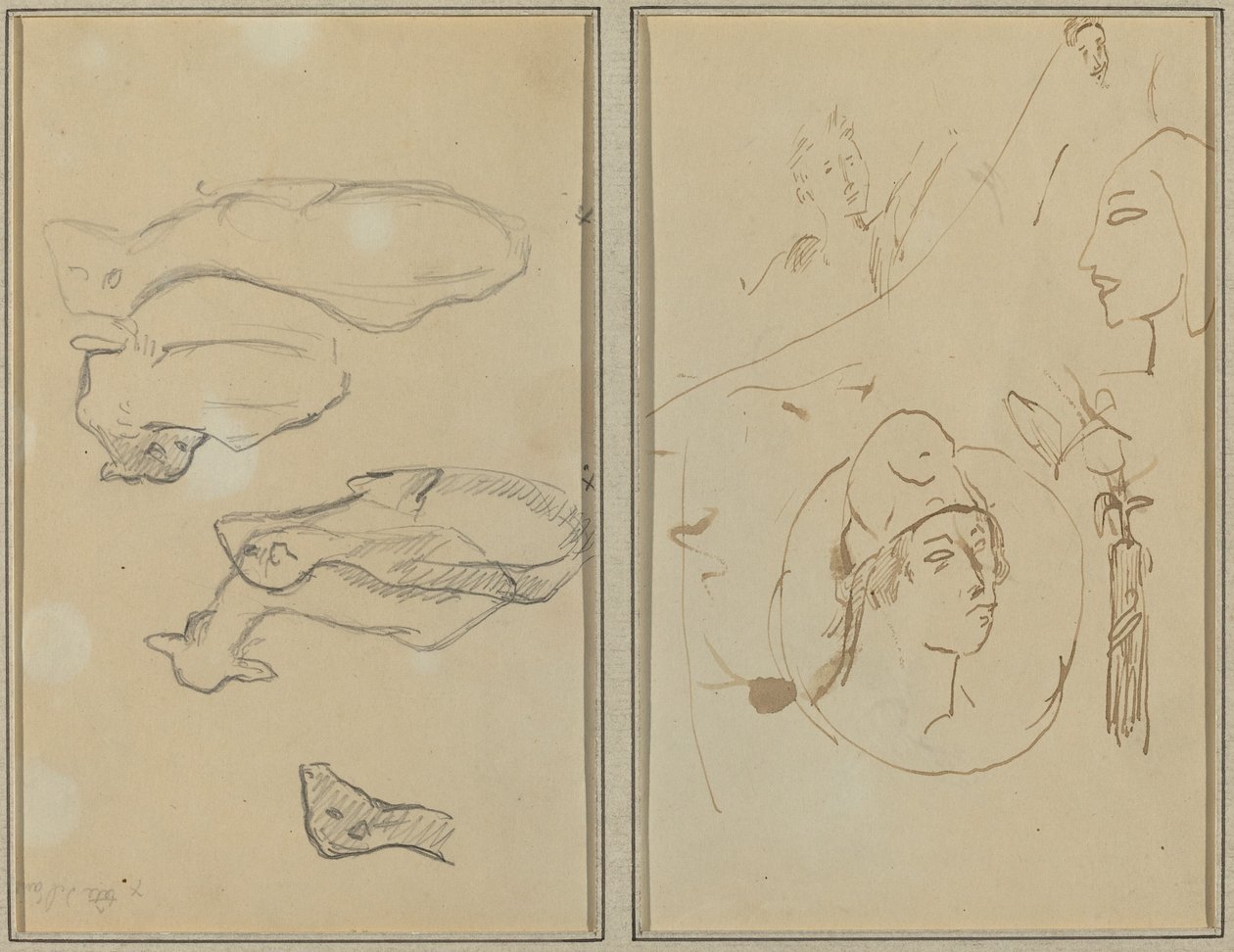Fem får; Fyra huvudstudier [verso] av Paul Gauguin