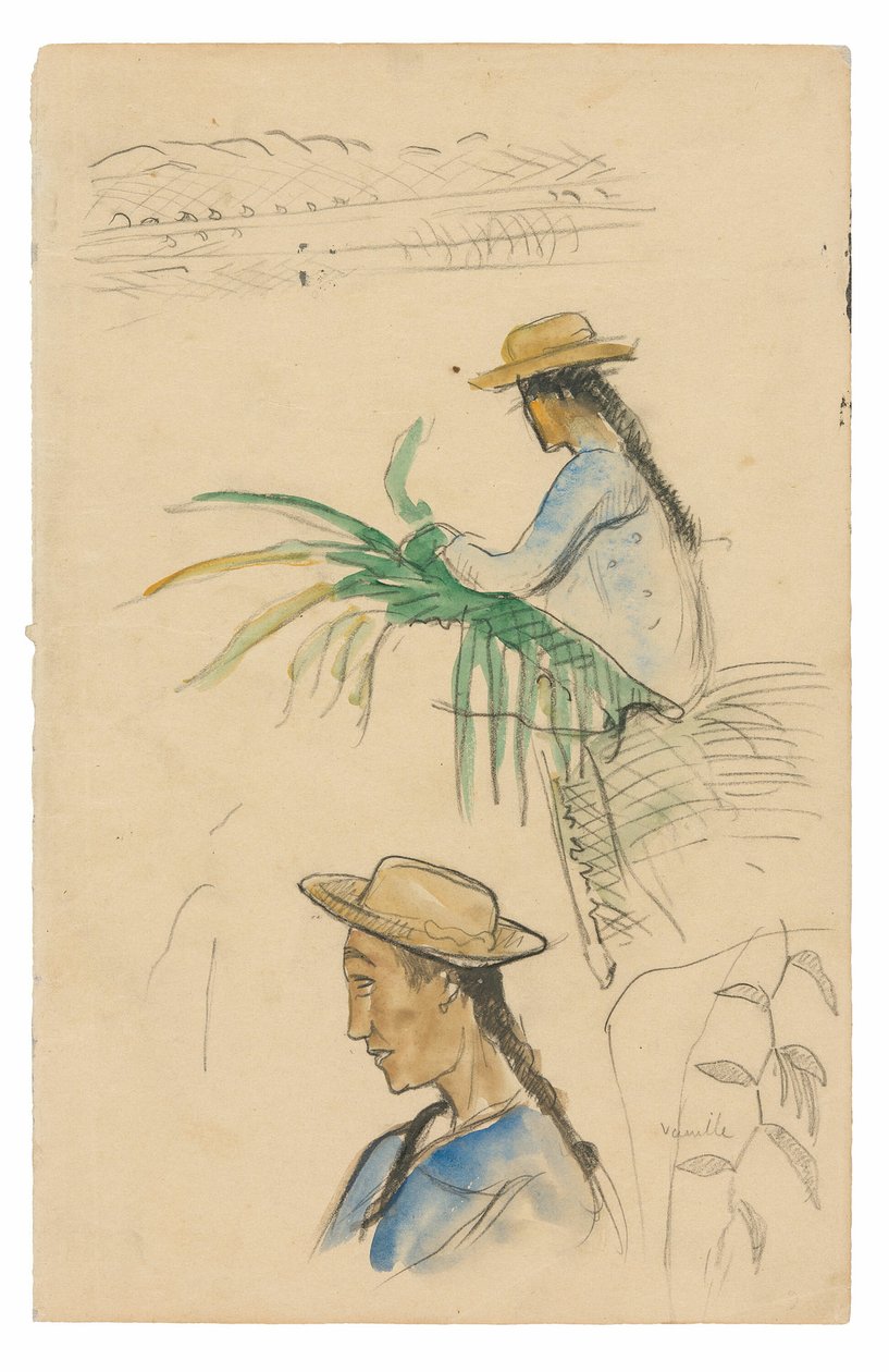 Skisser av figurer, Pandanus-blad och vaniljväxt av Paul Gauguin