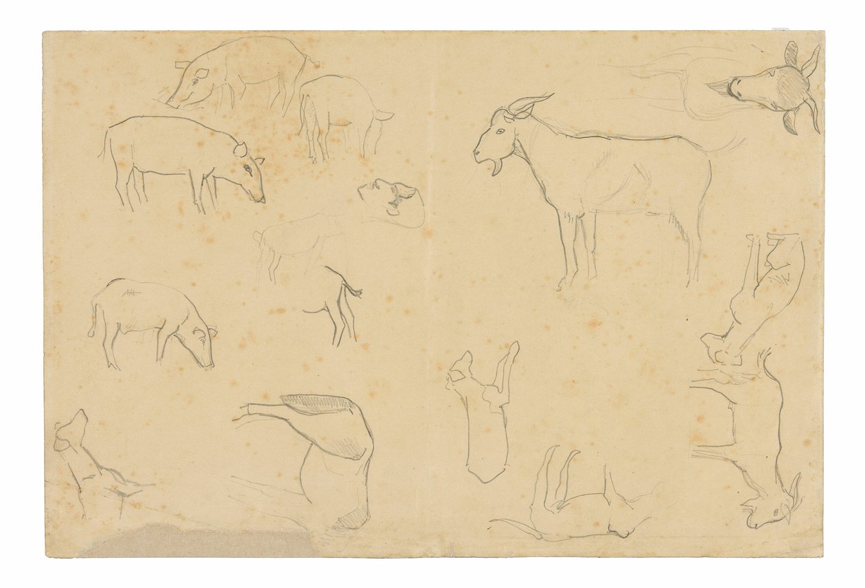 Skisser av olika djur och huvud (recto), Skisser av ett huvud, figur i profil, anatomiska detaljer och djur (verso) av Paul Gauguin