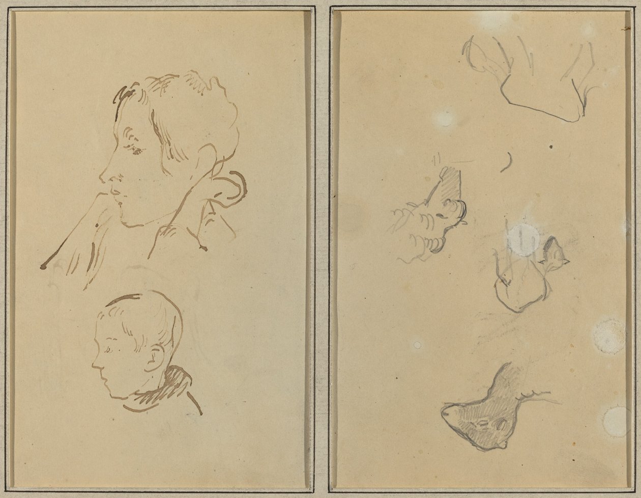 Två huvuden; Studier av får [recto] av Paul Gauguin