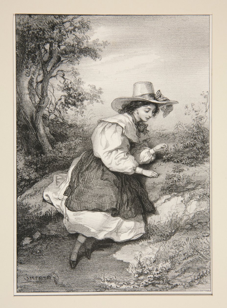 Les Deux Paquerettes. av Paul Gavarni