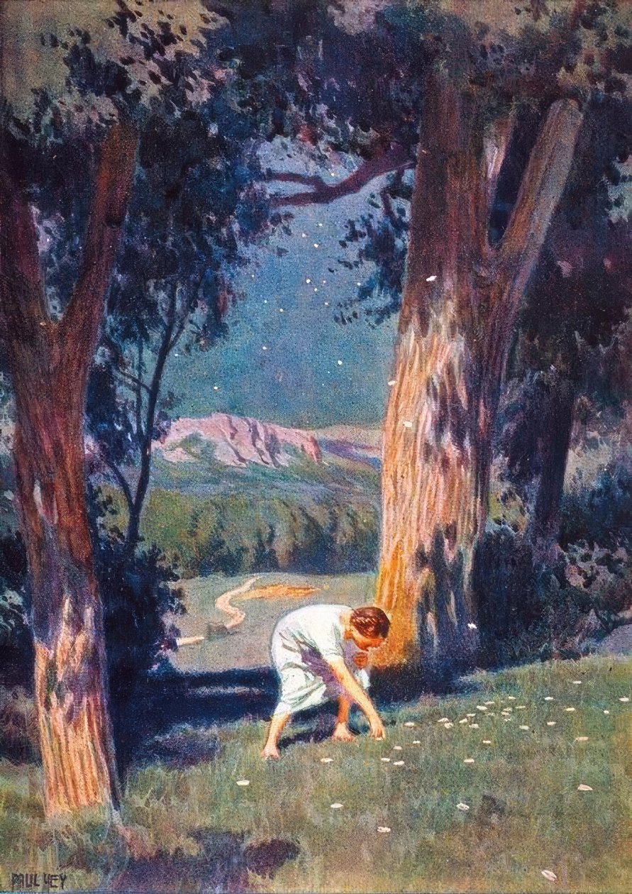 Stjärnans pengar av Paul Hey