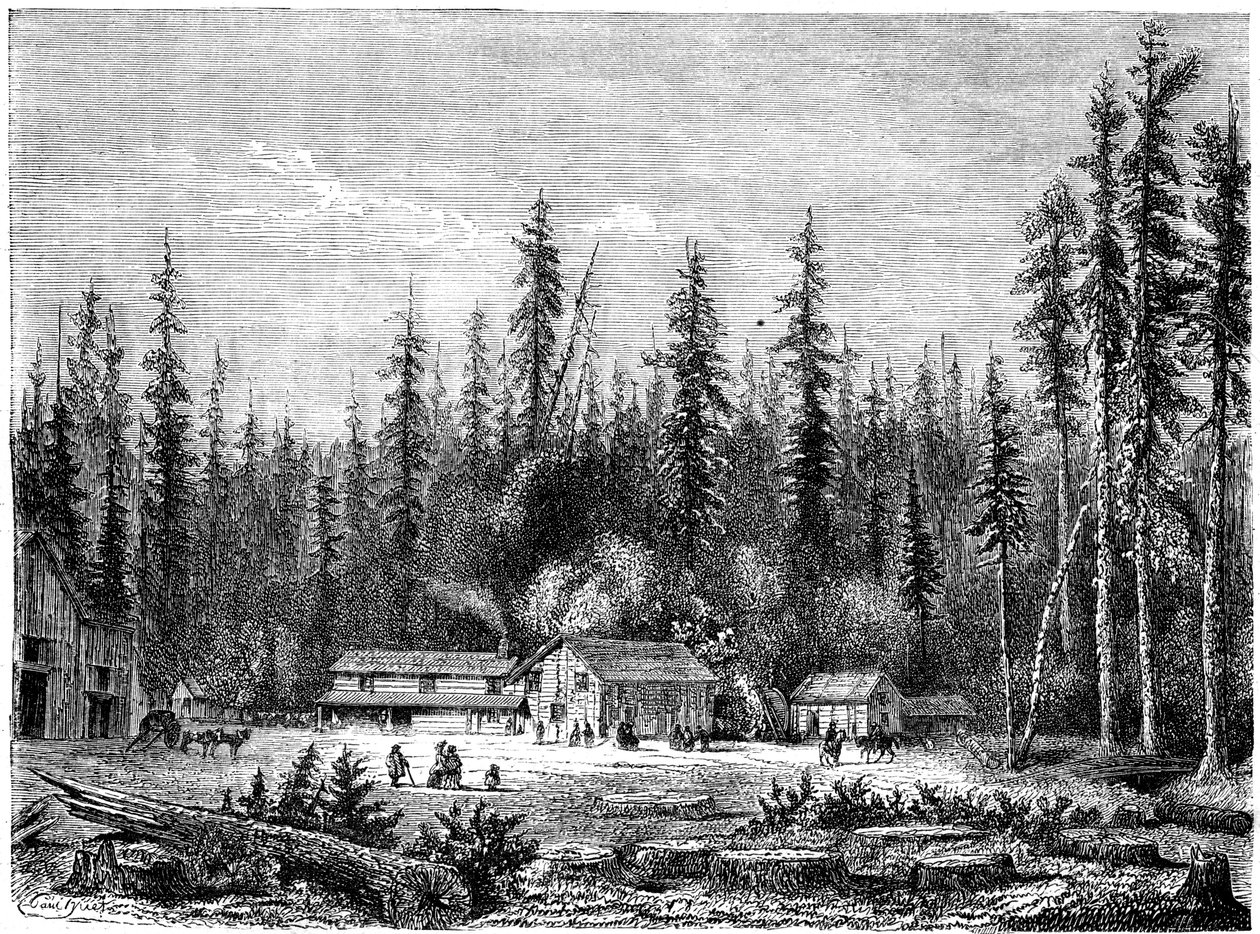 Jätte sequoia-skog, Kalifornien, 1800-talet. av Paul Huet