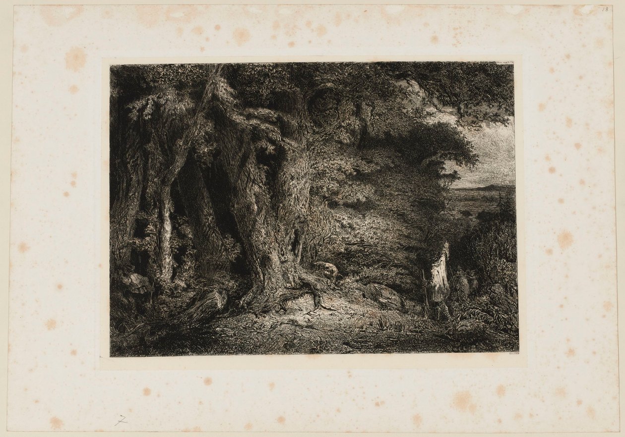 Skogsbrynet. Beraldi 74 av Paul Huet