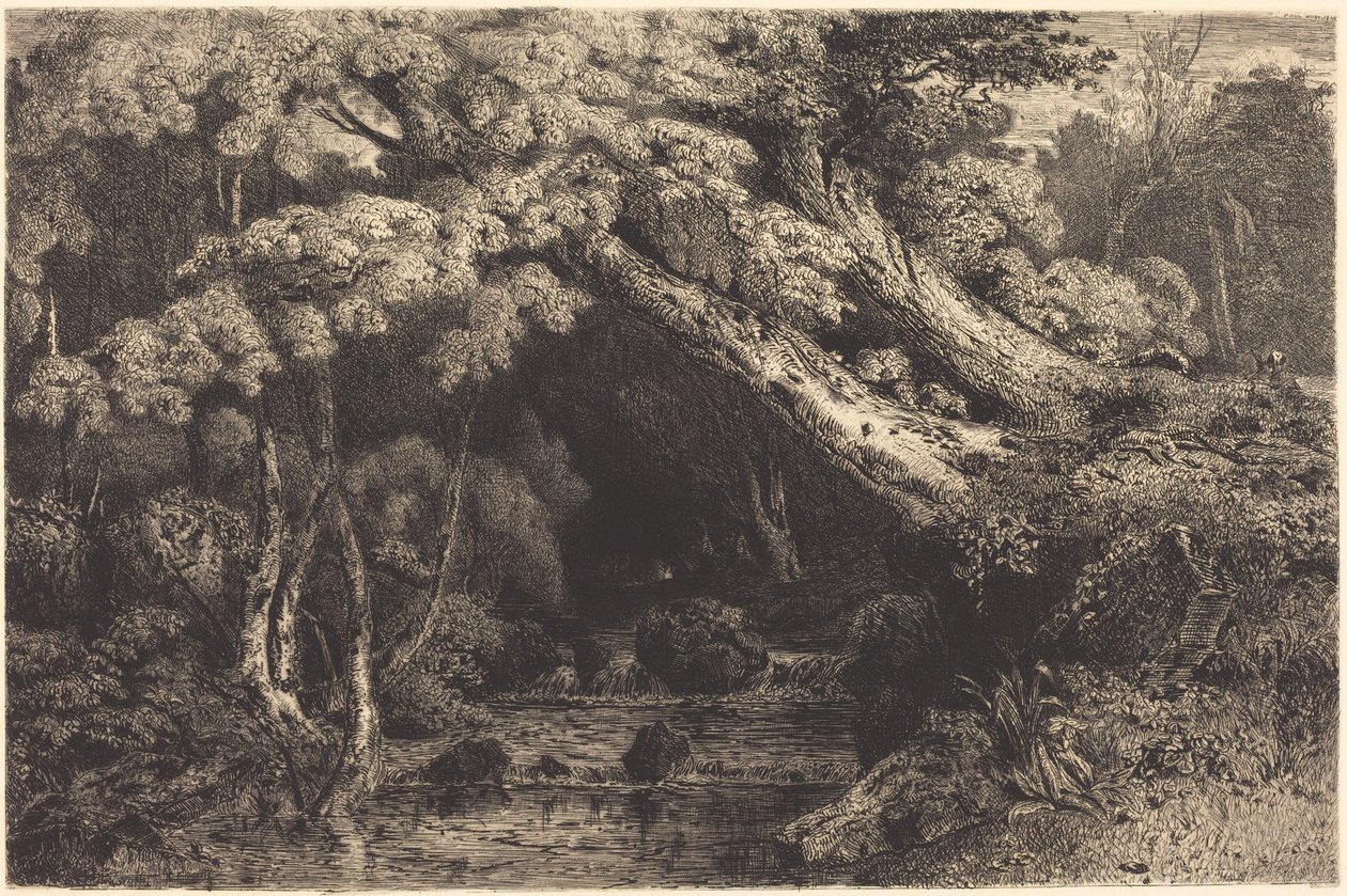 Saint-Pierre-bäcken nära Pierrefonds (Ruisseau de Saint-Pierre, nära Pierrefonds) av Paul Huet