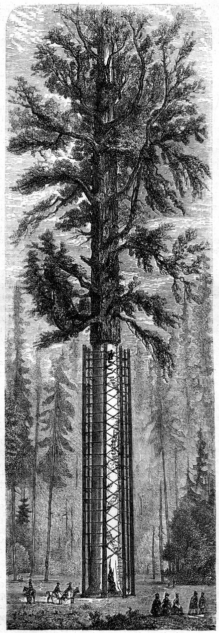 Yosemite National Park, Kalifornien, 1800-talet. av Paul Huet