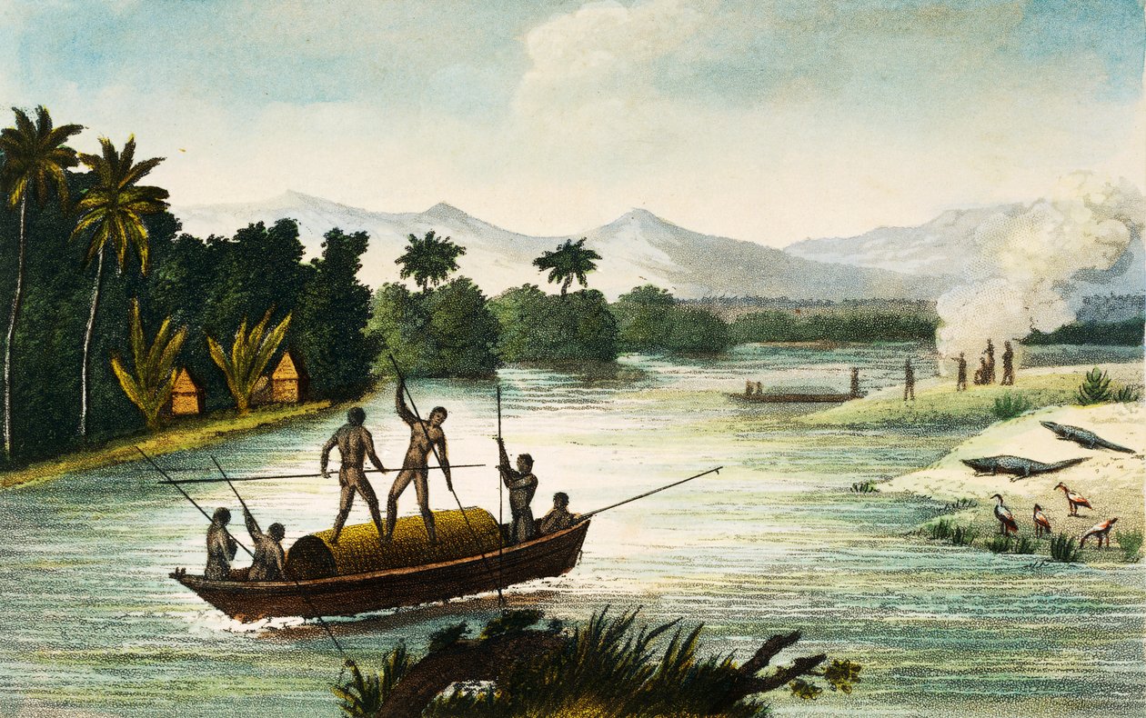 Magdalena River, Colombia, gravyr av Paul Legrand från Travels in the Republic of Colombia åren 1822 och 1823, av Gaspard Theodore Mollien (1796-1872), Sydamerika av Paul Legrand