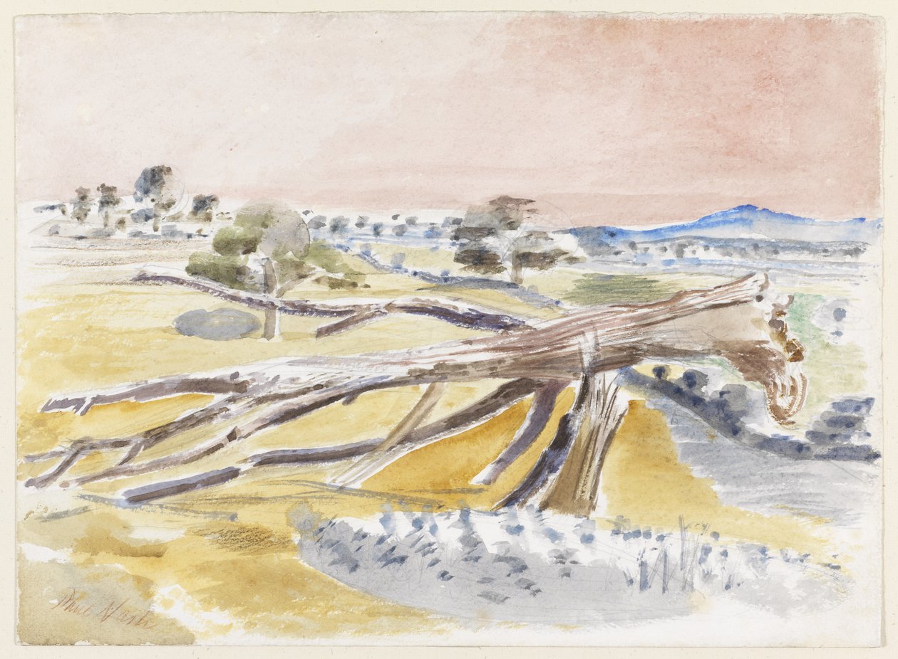 Monsterfält, studie II av Paul Nash