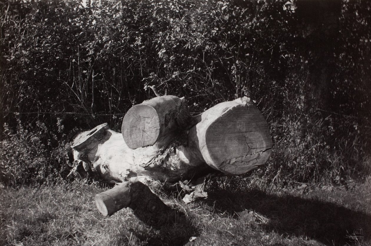 Hitta objekt av Paul Nash