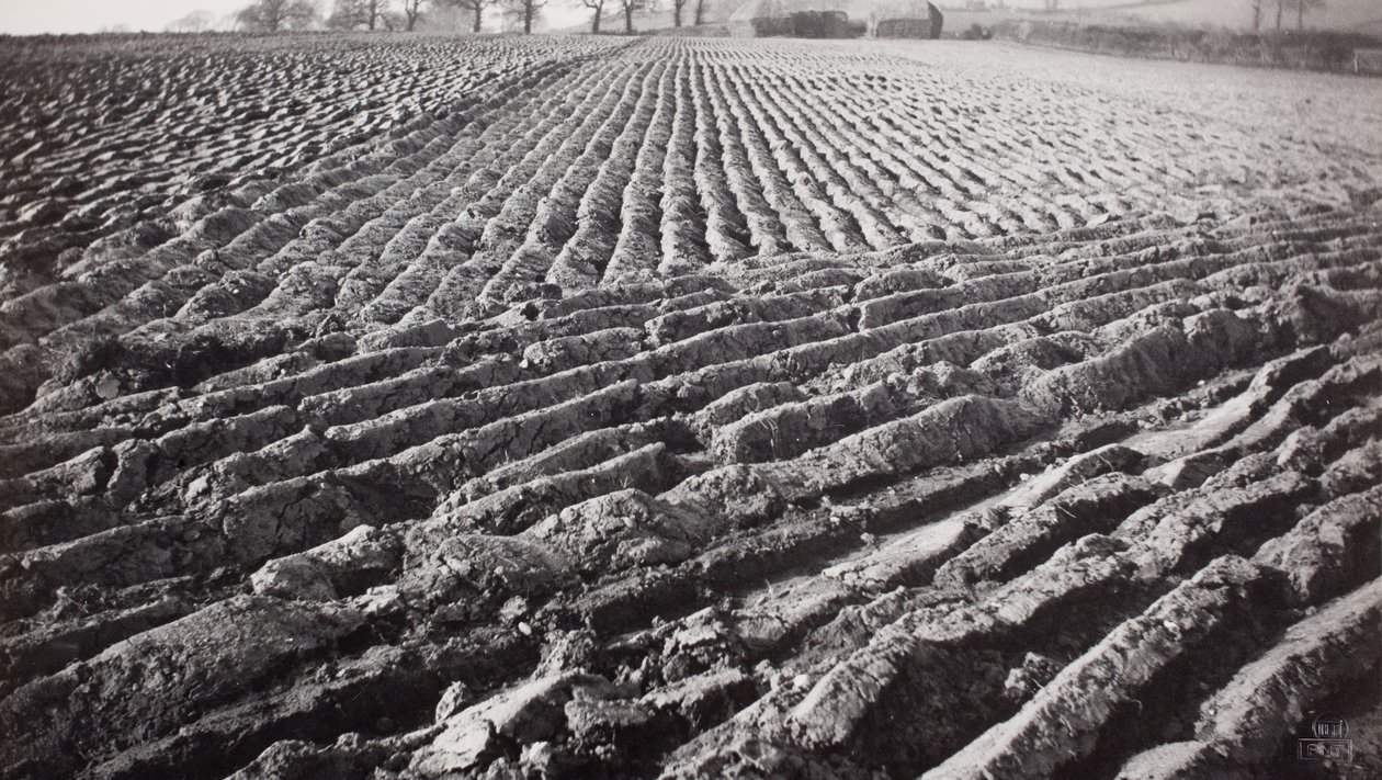 Plöjd åker och höstackar av Paul Nash