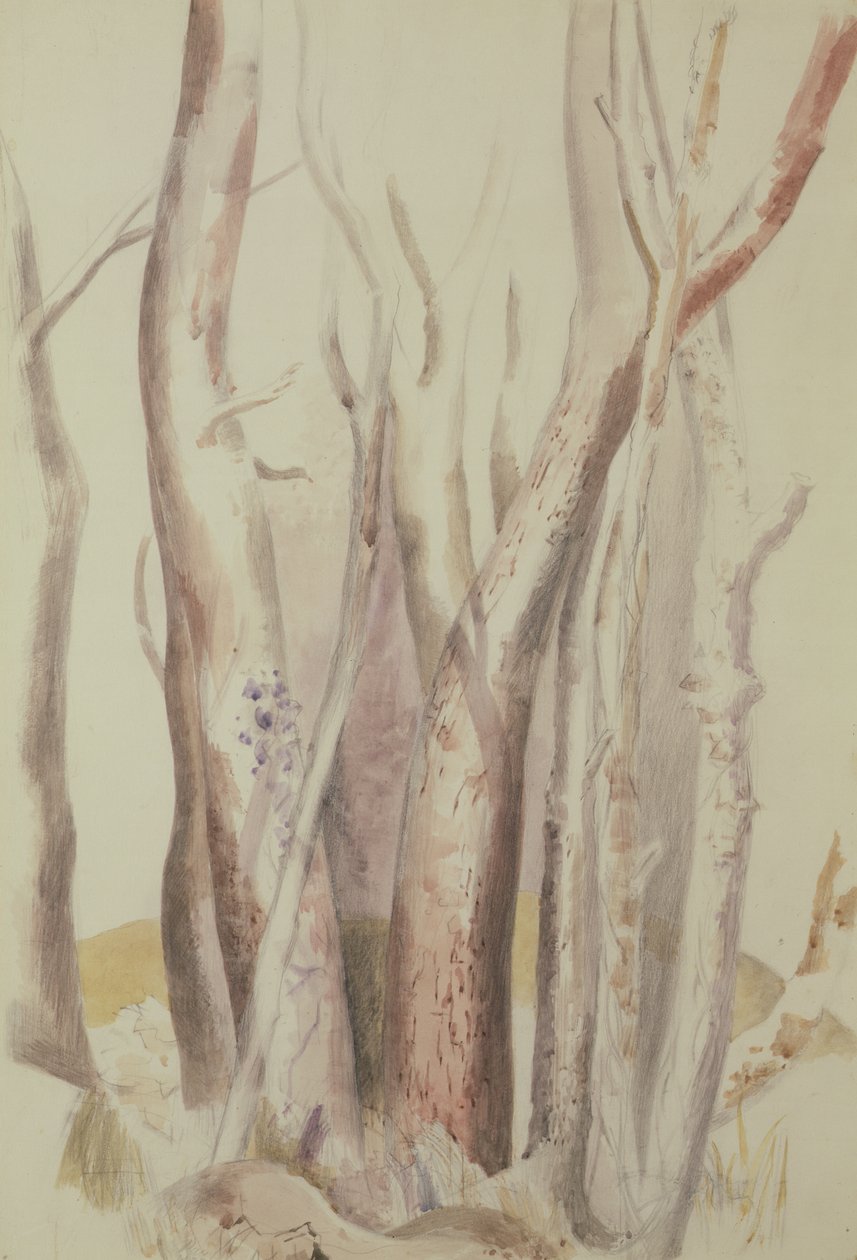 Studie av ett skogslandskap av Paul Nash