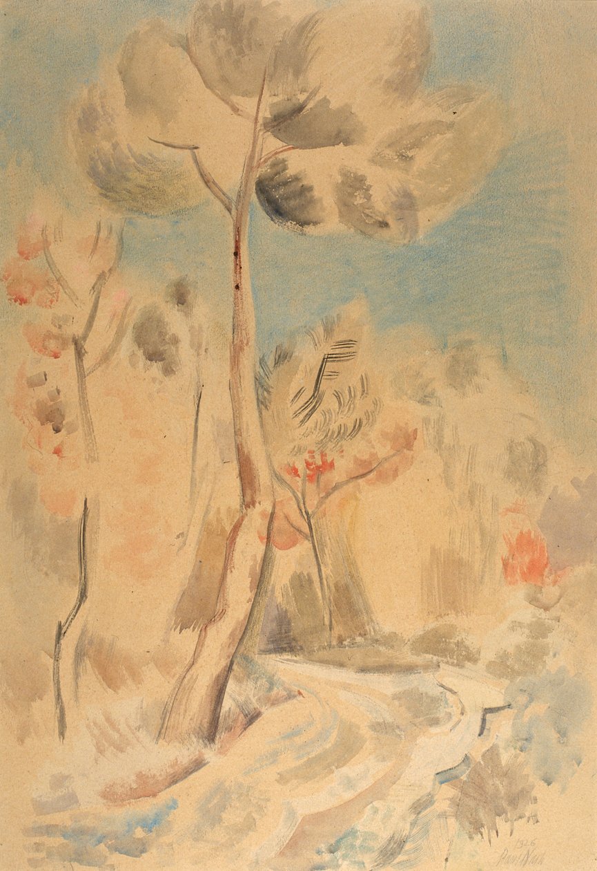 The Pine (penna och akvarell på papper) av Paul Nash