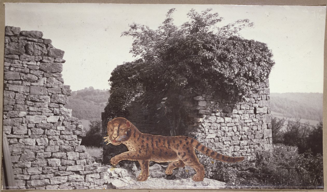 Tiger, Tiger, ca 1938 (collage) av Paul Nash