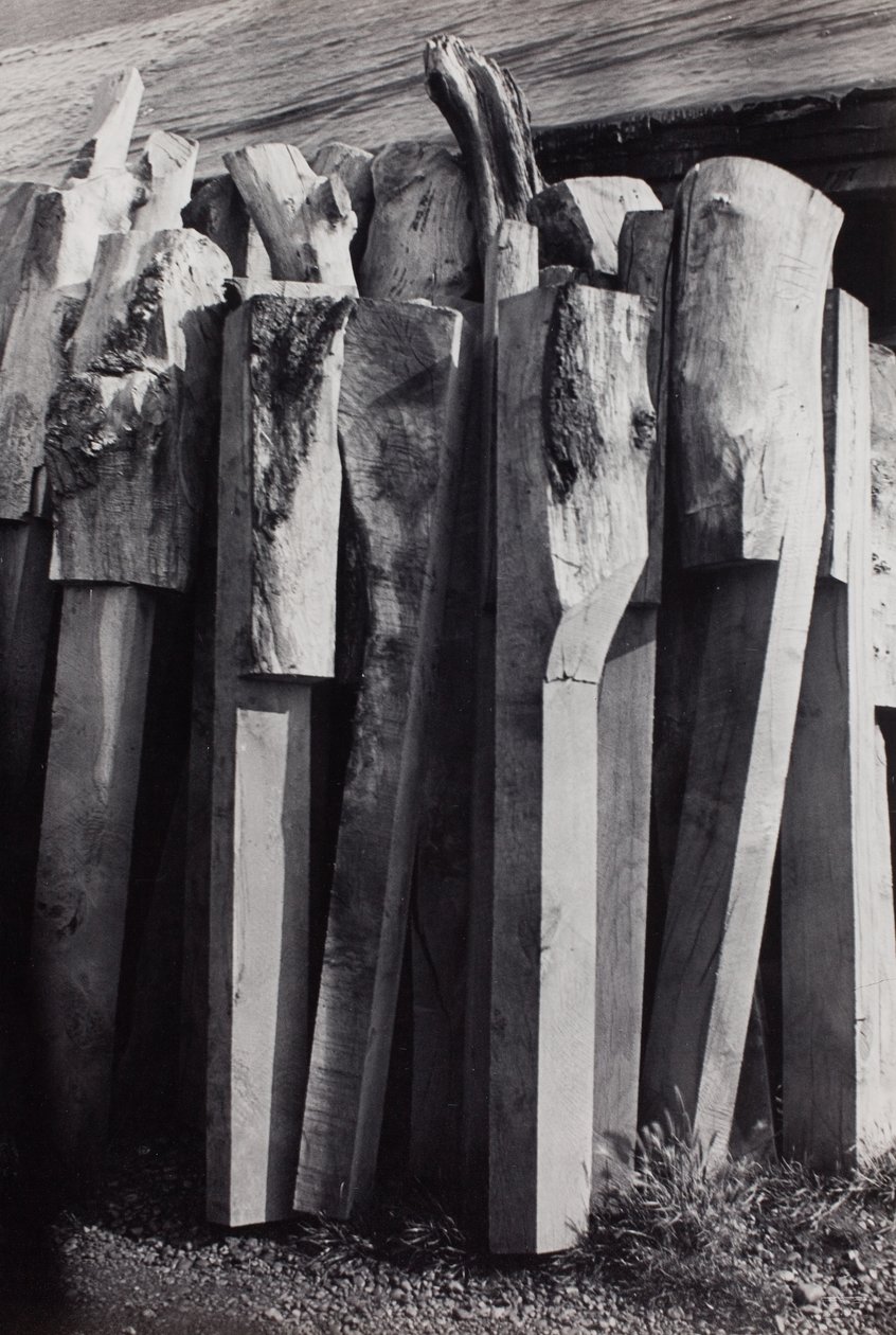 Totems", gamla skeppsvarvet, Rye hamn av Paul Nash