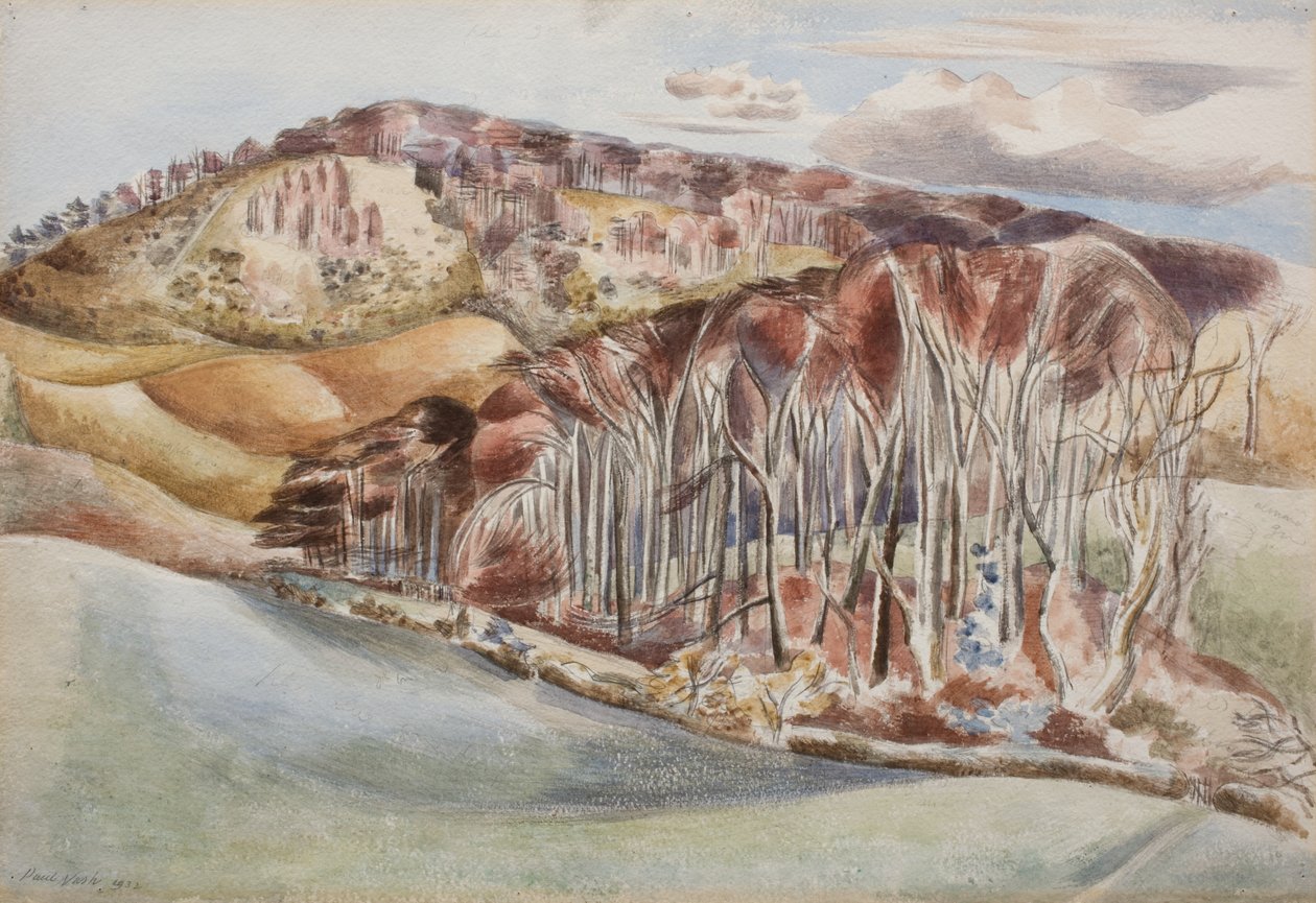 Wood och Hill av Paul Nash