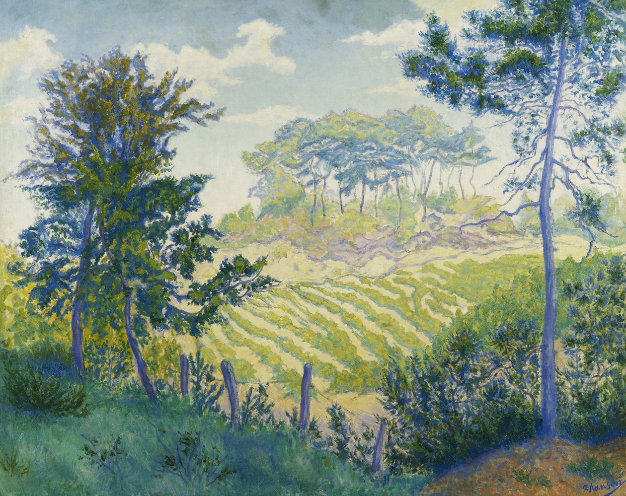 Vingårdar under tallarna; Vingårdarna under tallarna, ca. 1898 av Paul Elie Ranson