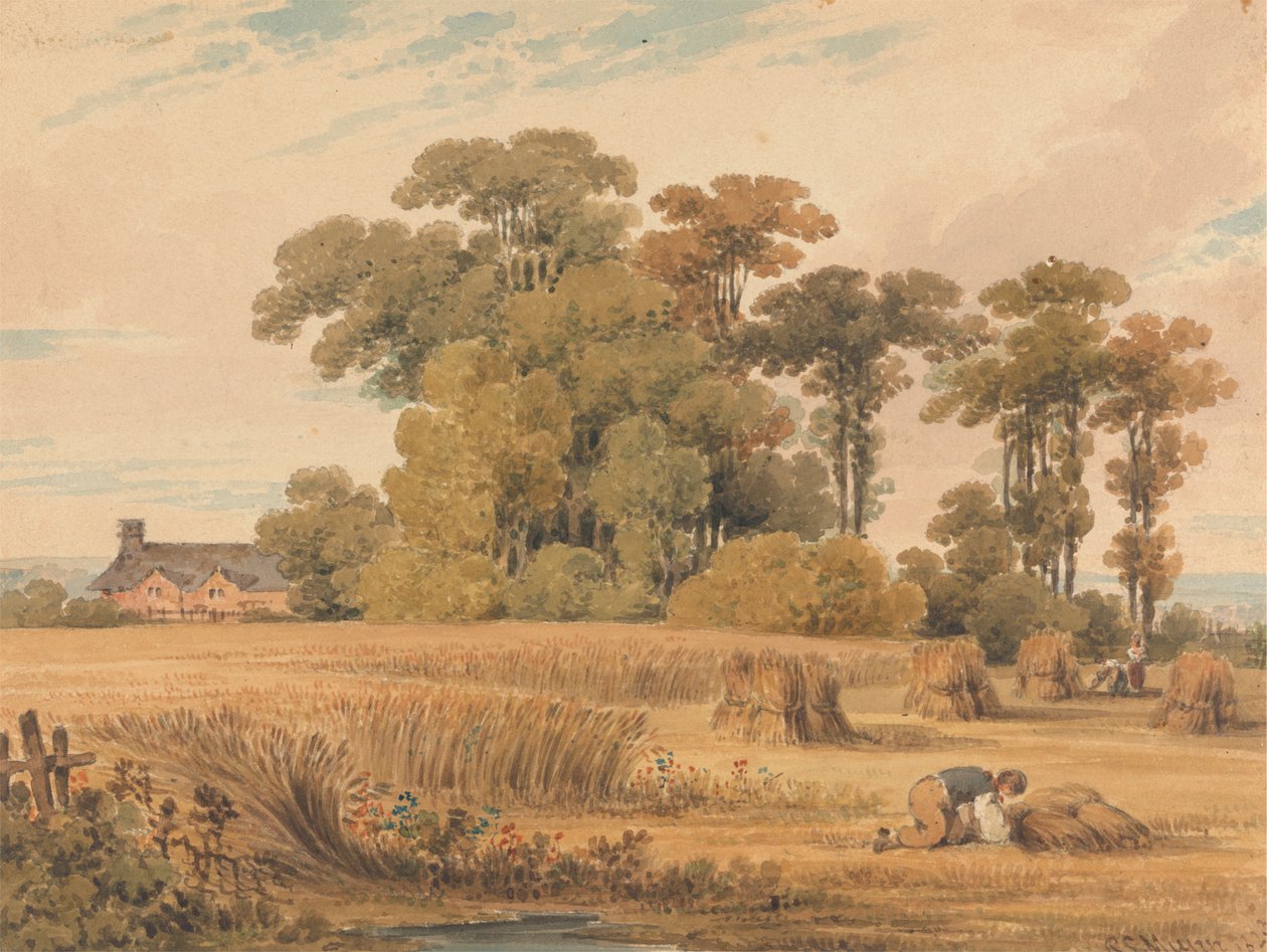 Ett majsfält av Paul Sandby Munn